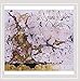 Quintet - The Second String Quintet (CD)