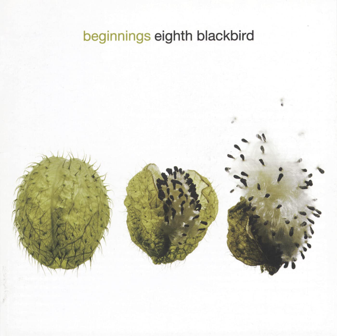 Eighth Blackbird - Beginnings: Crumb - Vox Balaenae; Et Al (CD)
