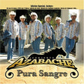 Conjunto Azabache - Pura Sangre (CD)