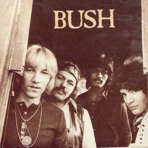 Bush - Bush (CD)
