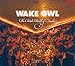 Wake Owl - WAKE OWL - PRIVATE WORLD OF PARADISE (DIG)