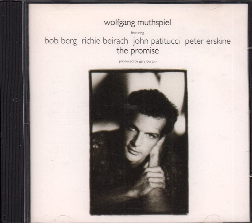 Wolfgang Muthspiel - The Promise (CD)