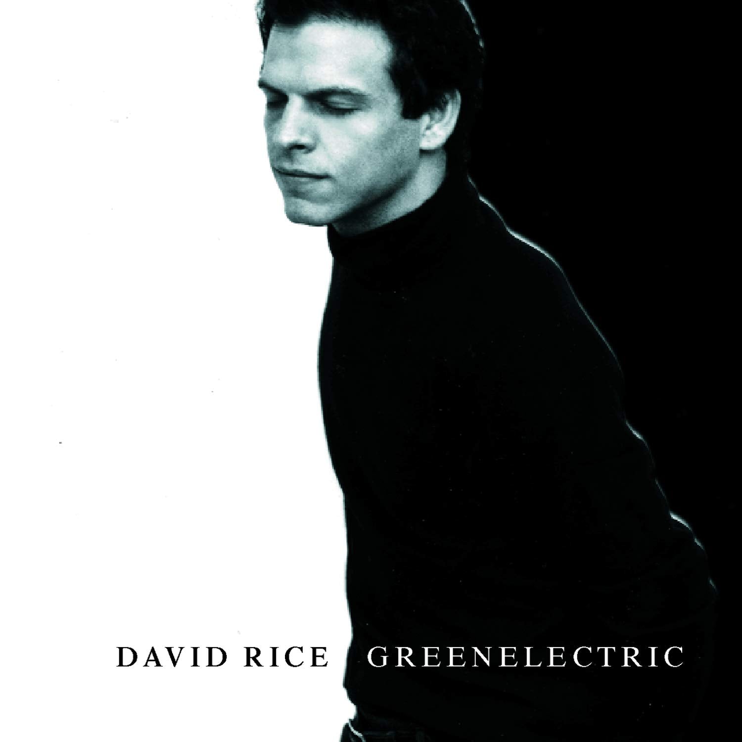 David Rice - greenelectric (CD)