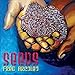 Fred Arcoleo - Seeds (CD)