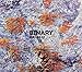 Rat & Co - Binary (CD)