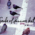Friedman, Greg - Souls of Passing Feet (CD)