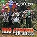 Trio Armonia Huasteca - 20 Exitos Rancheros (CD)