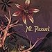 Jennie Arnau - MT. Pleasant (CD)