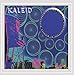 Kaleid - Zen and the Surveillance of Bicycle Messengering (CD)
