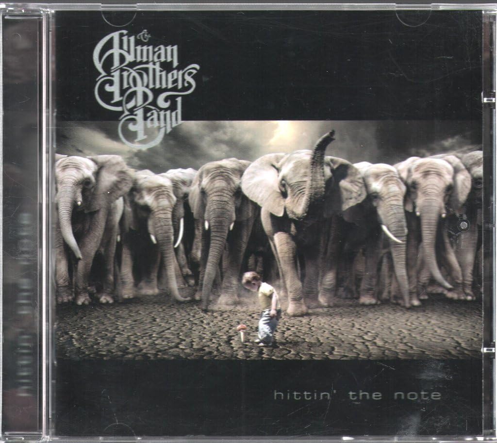 The Allman Brothers Band - Hittin' The Note (CD)