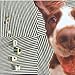 The Blow - The Concussive Caress, Or, Casey Caught Her Mom Singing Along With TheVacuum (CD)