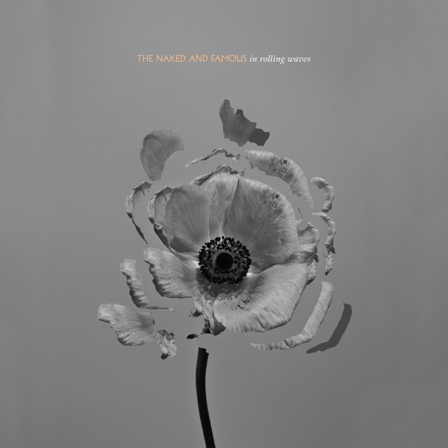 The Naked And Famous - In Rolling Waves (CD)