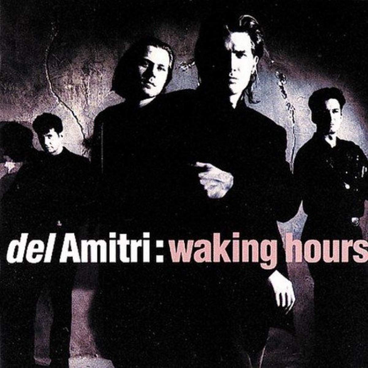 Del Amitri - Waking Hours (CD)