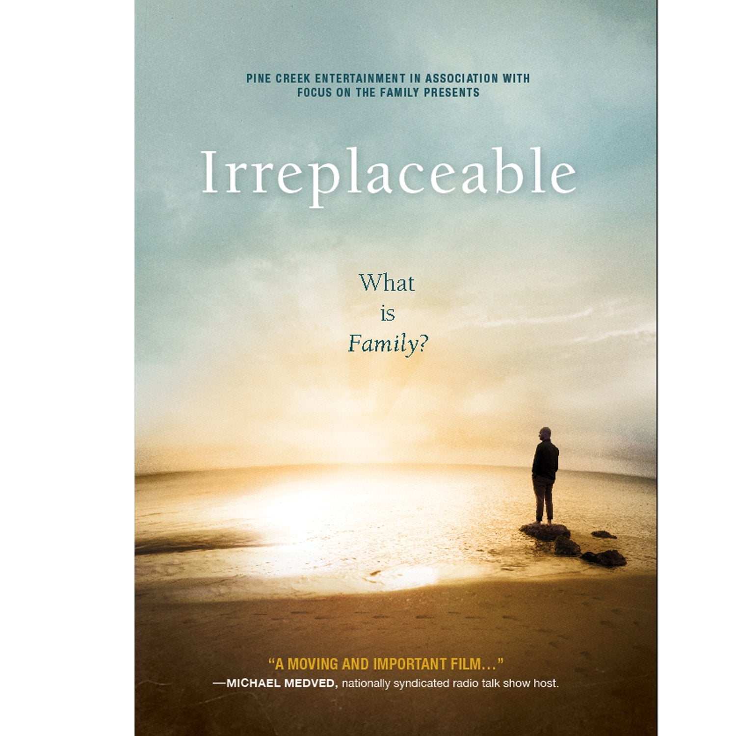 Irreplaceable (DVD)
