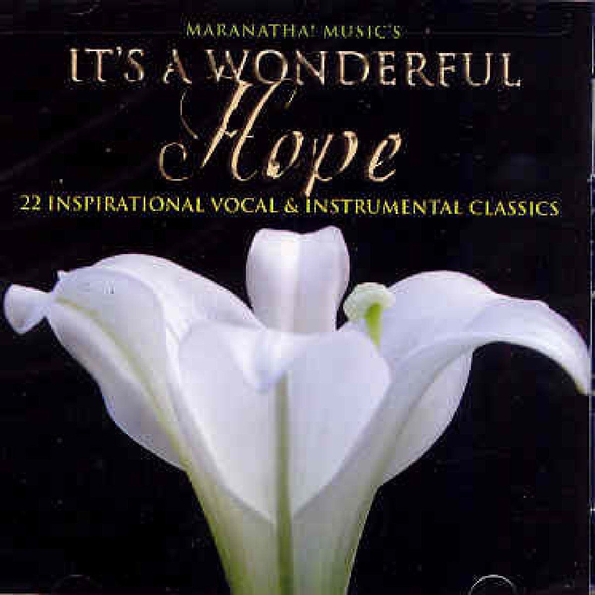 It's a Wonderful Hope (CD)