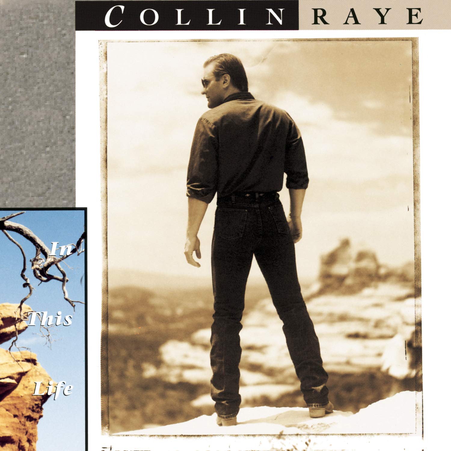 Collin Raye - In This Life (CD)