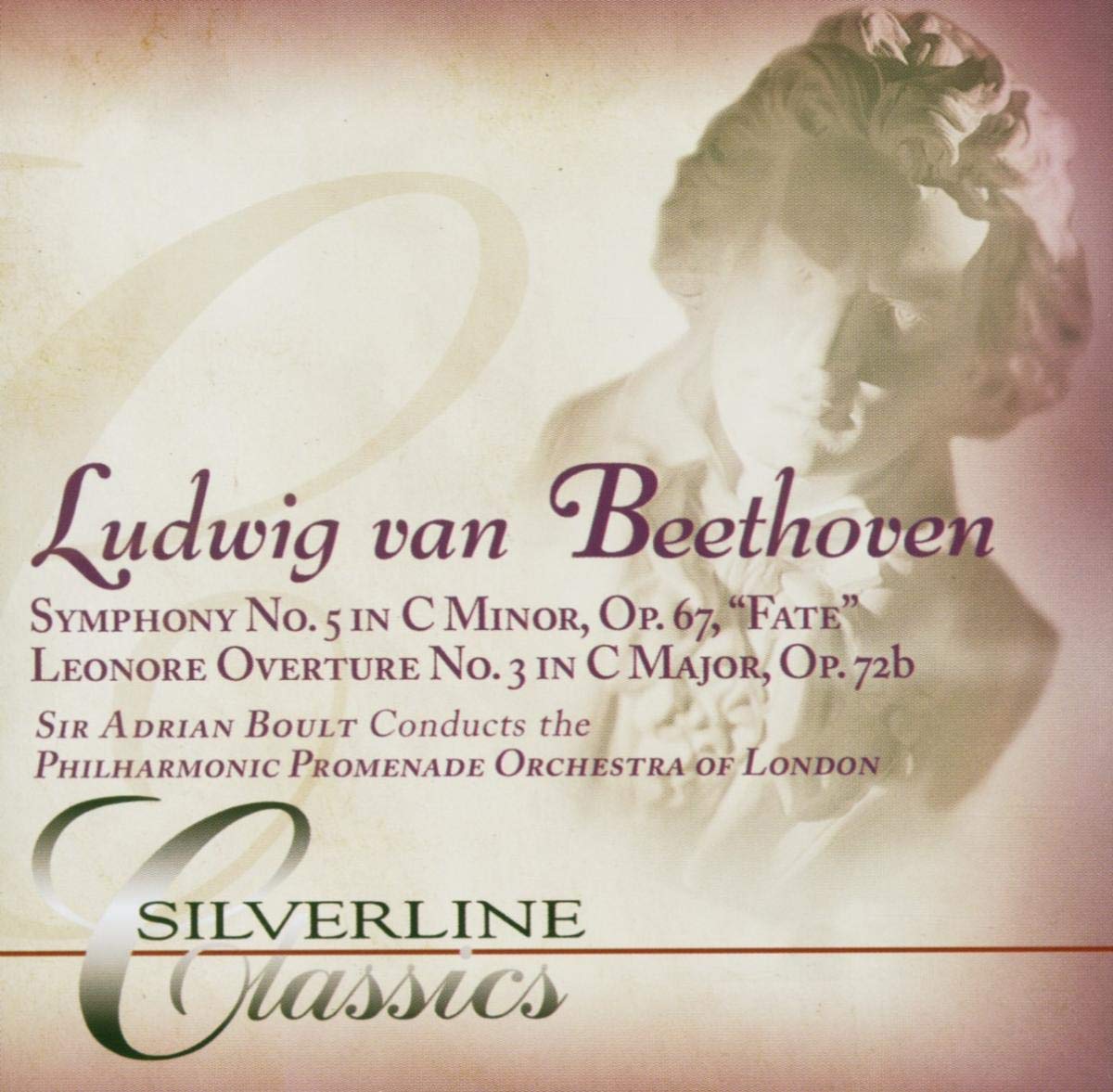 Symphony No 5 in C Minor (CD)