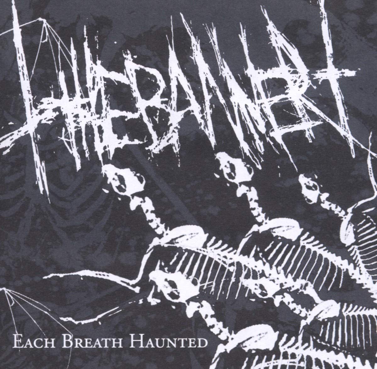 The Banner - Each Breath Haunted (CD)
