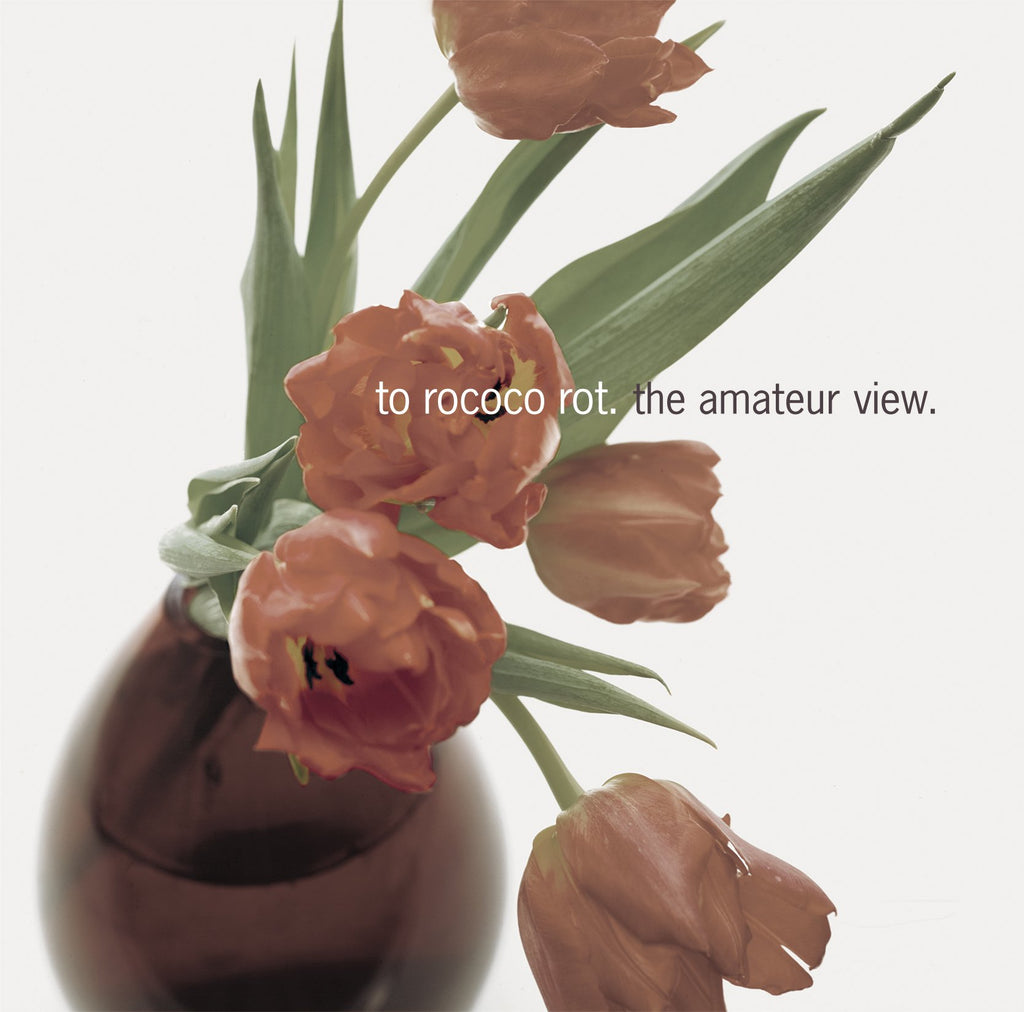 To Rococo Rot - Amateur View (CD)