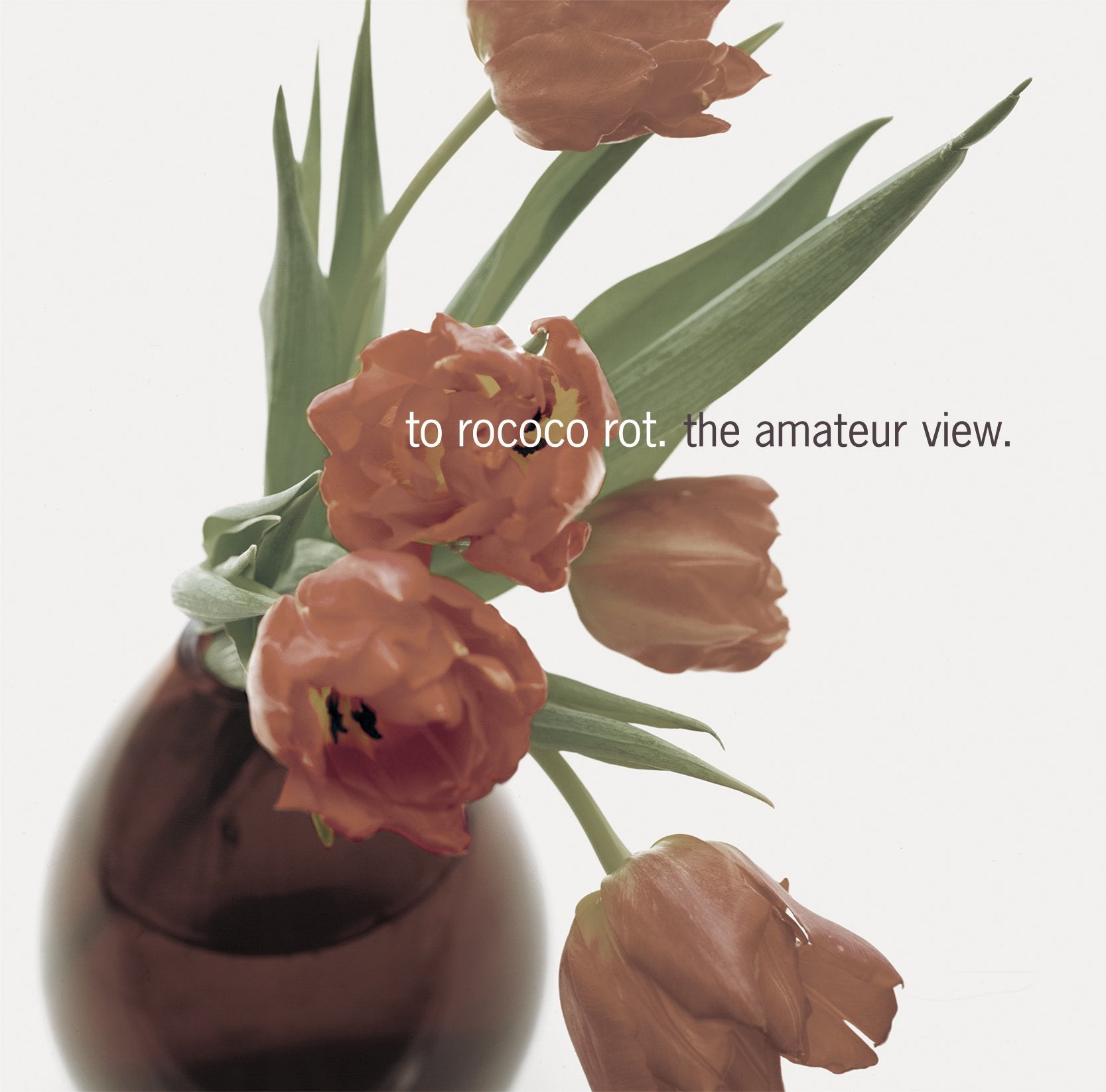 To Rococo Rot - Amateur View (CD)