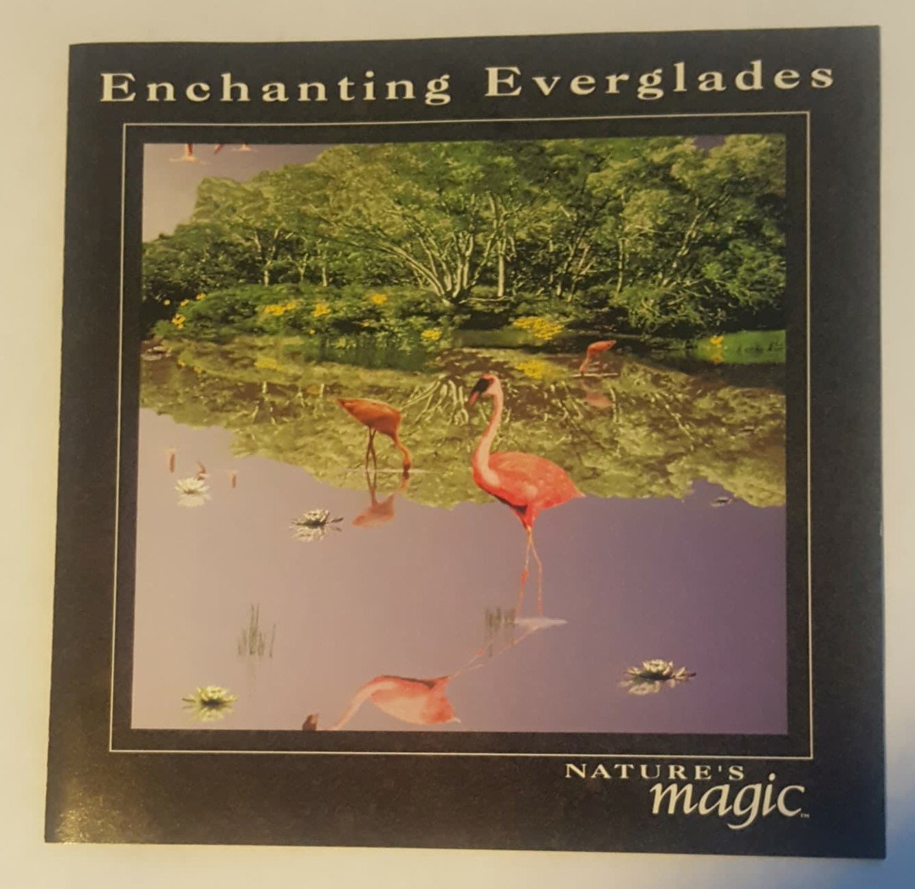 Byron M. Davis - Enchanting Everglades