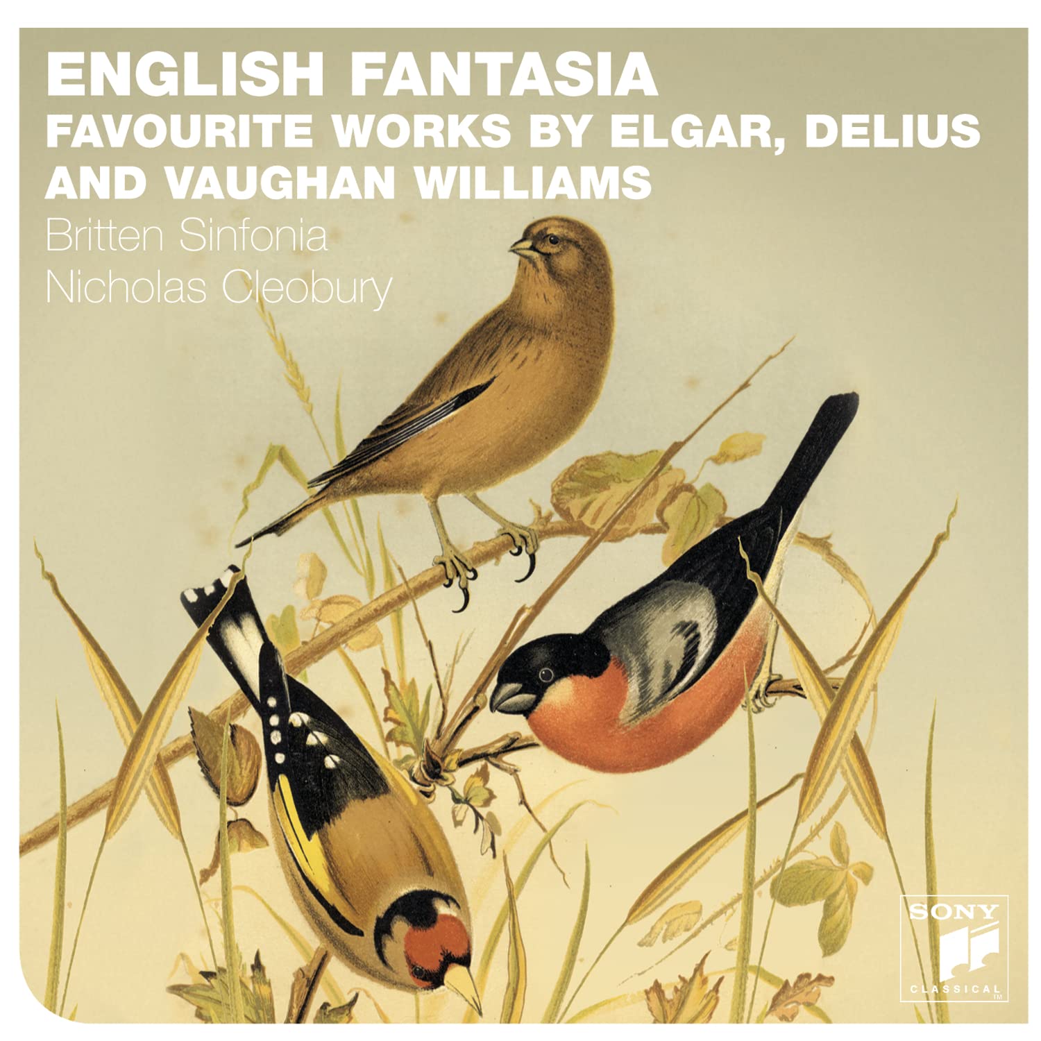 Britten Sinfonia - English Fantasia: Vaughan Williams, Delius & Elgar (CD)