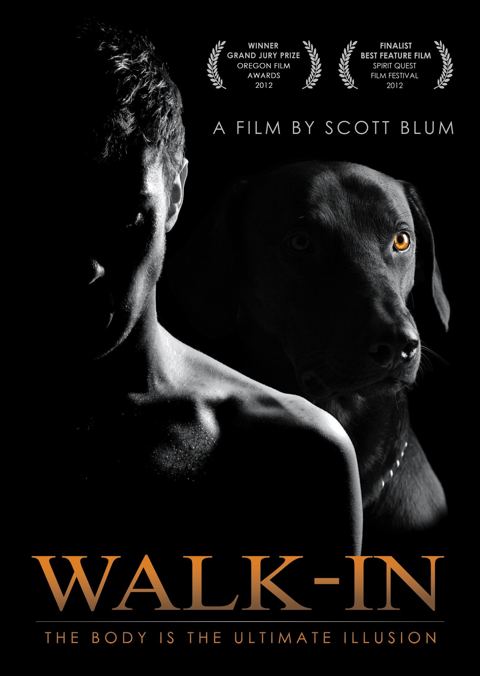 Walk-In (DVD)