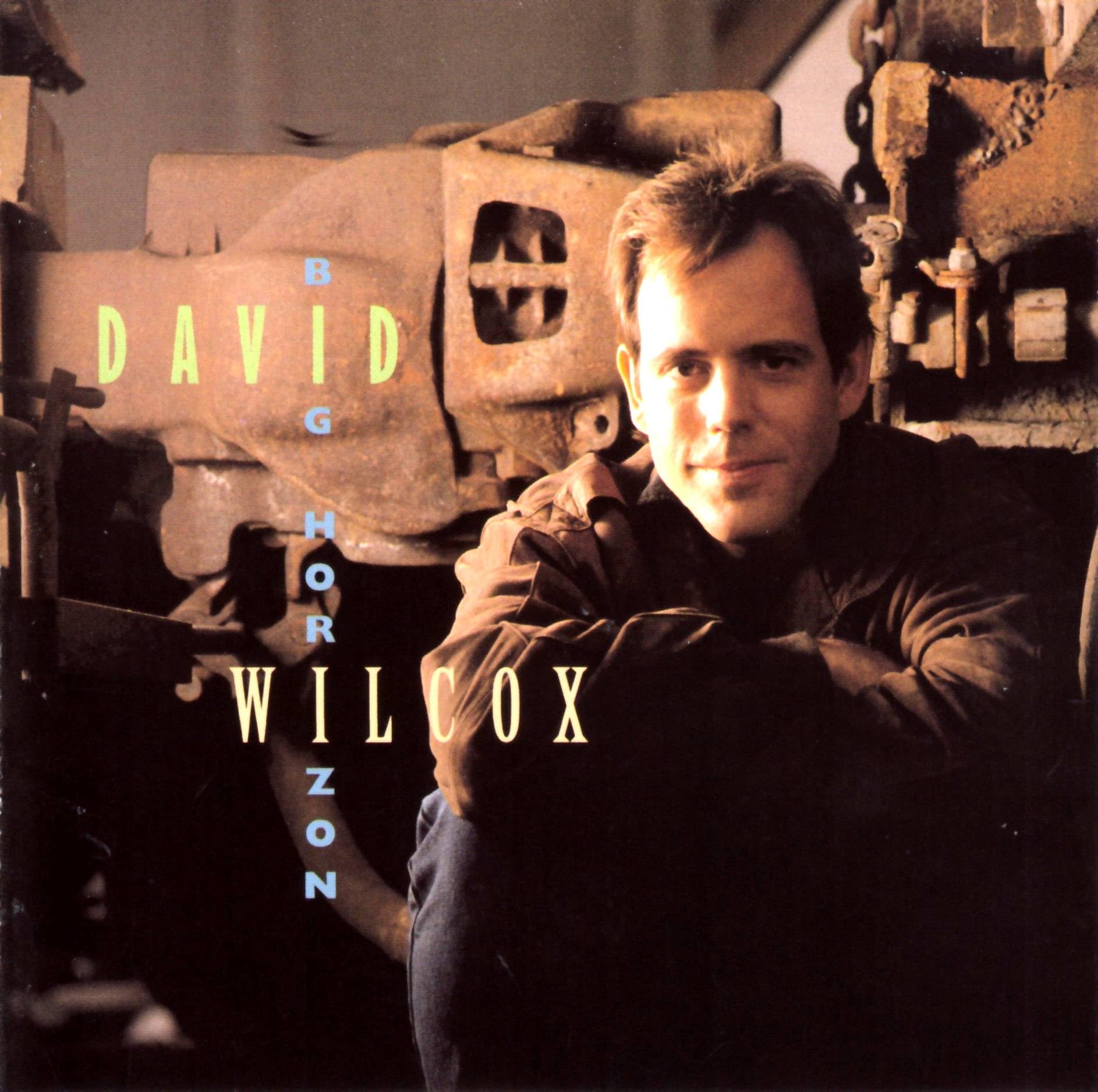 David Wilcox - Big Horizon (CD)