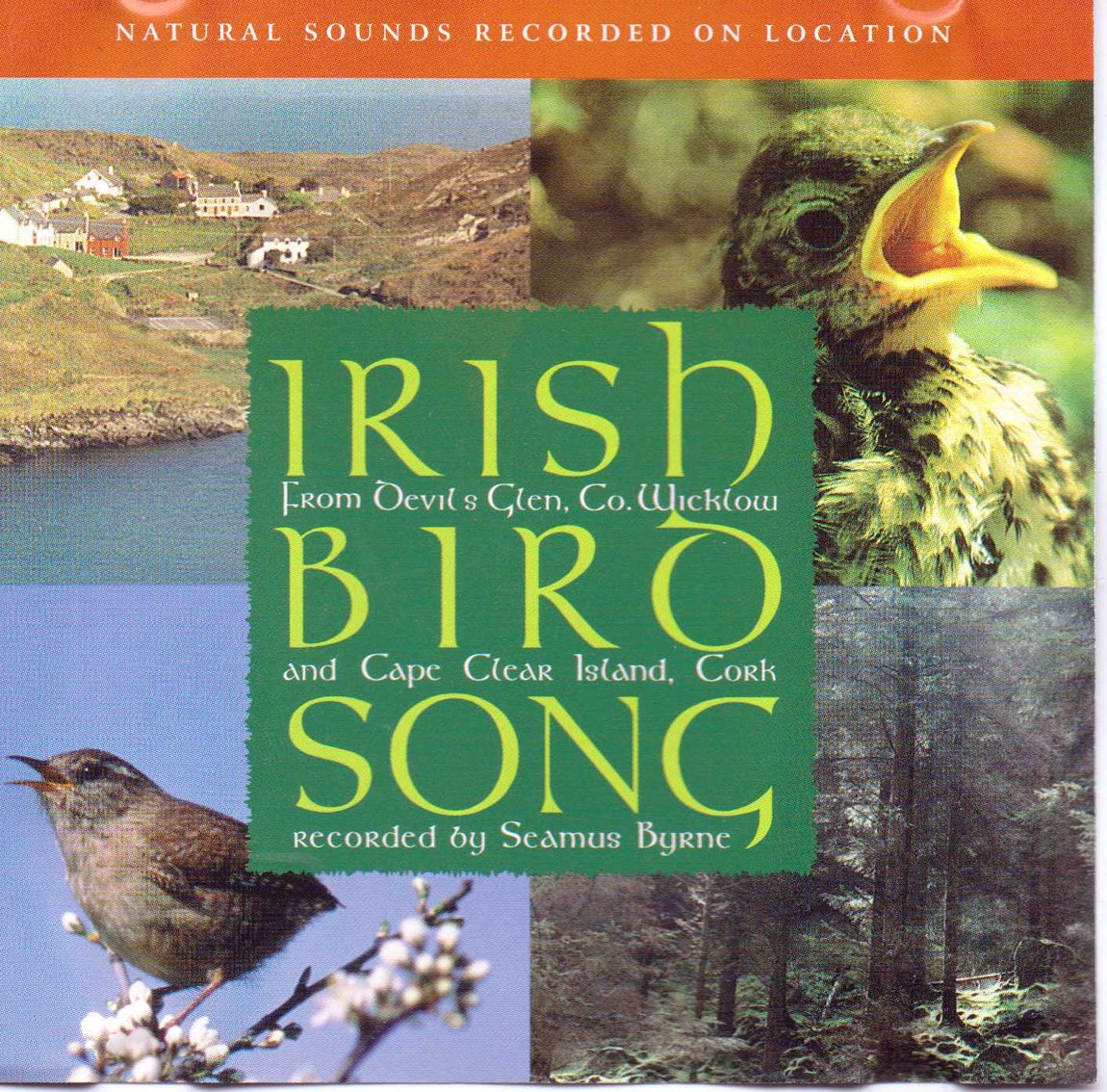 Irish Birdsongs (CD)