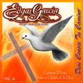 Dios Conoce Tu Camino, Vol. 2 (CD)