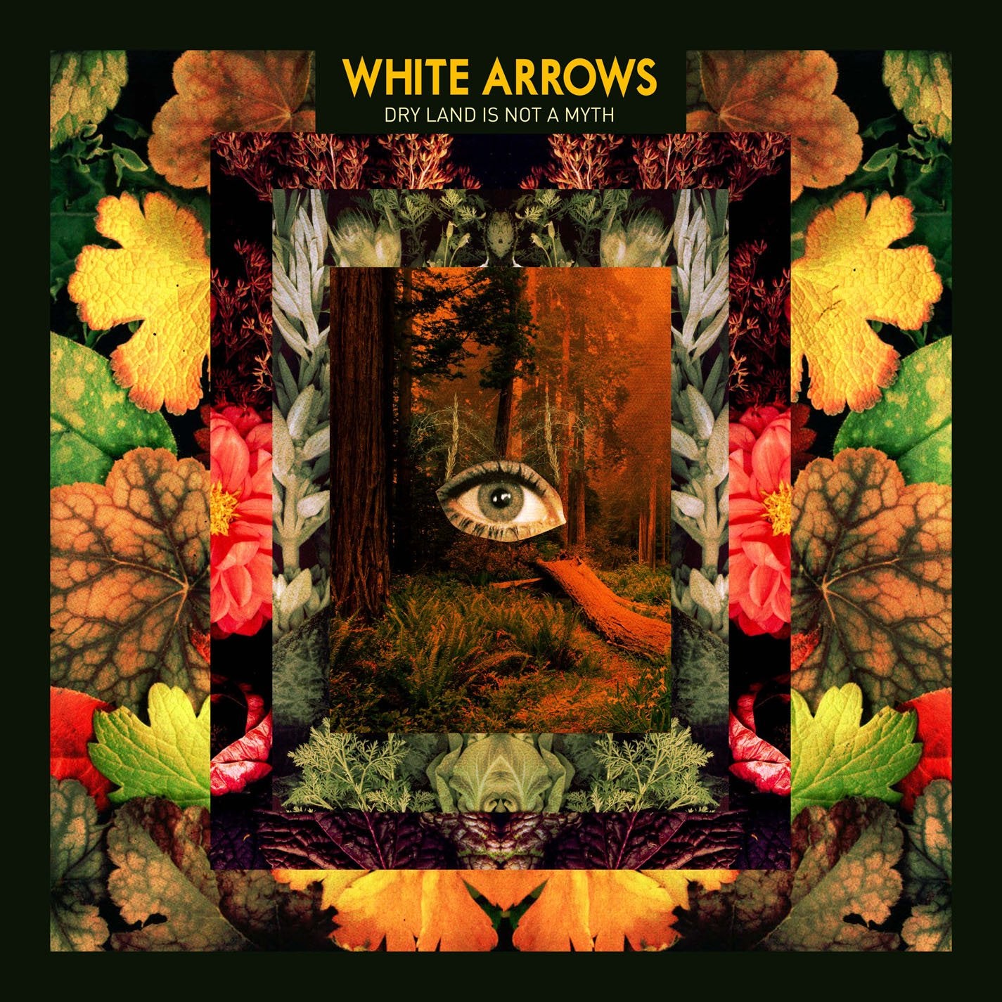 White Arrows - Dry Land Is Not A Myth (CD)