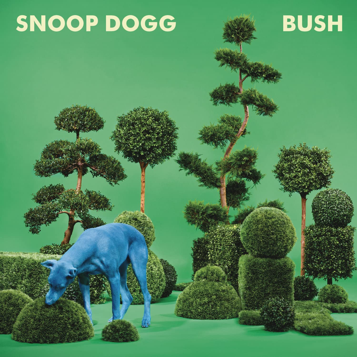 Snoop Dogg - BUSH (CD)