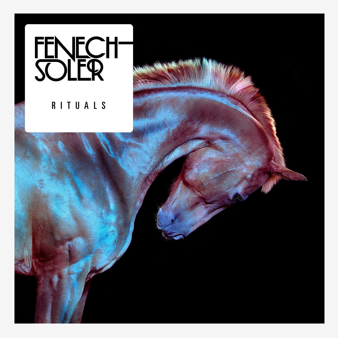 Fenech Soler - Rituals (CD)