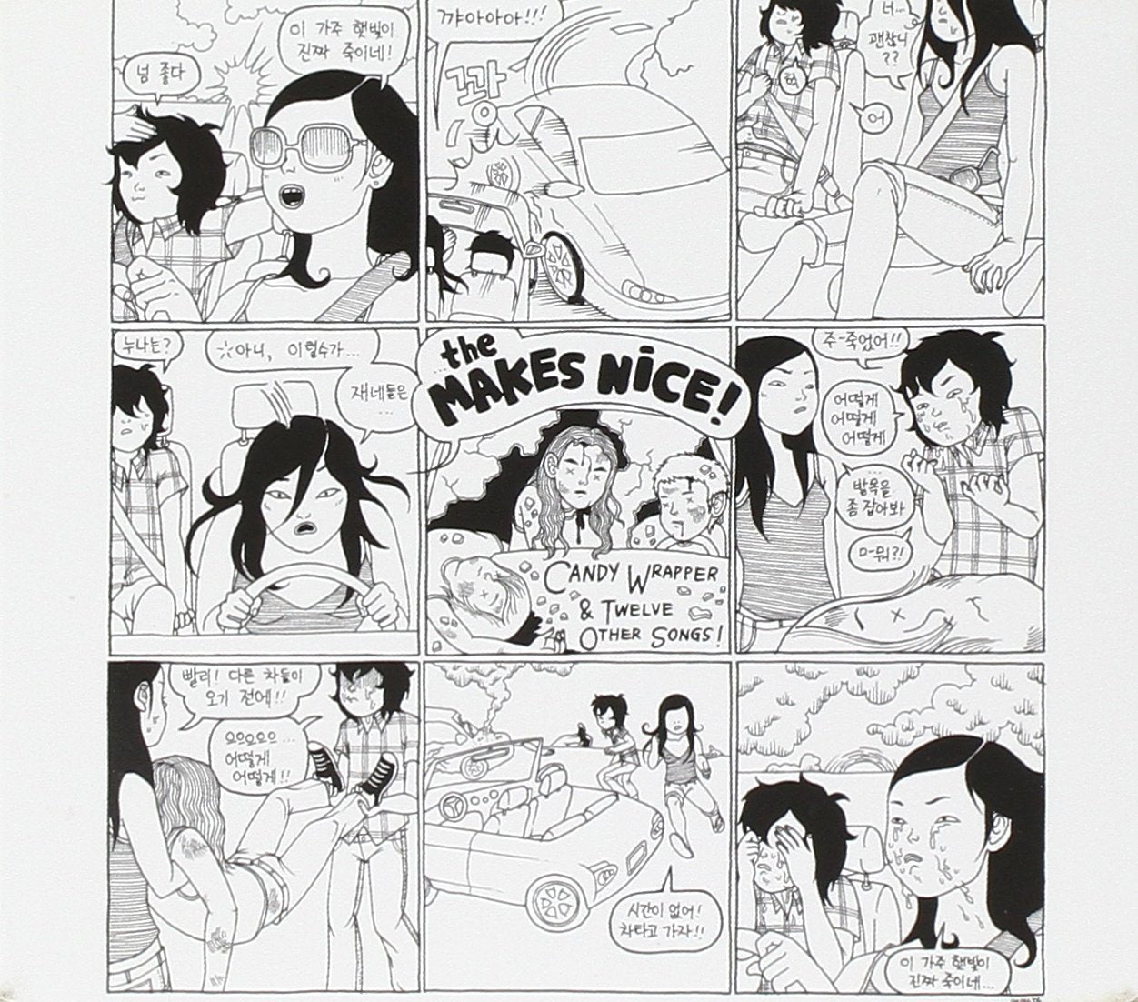 The Makes Nice - Candy Wrapper & Twelve Other Songs (CD)