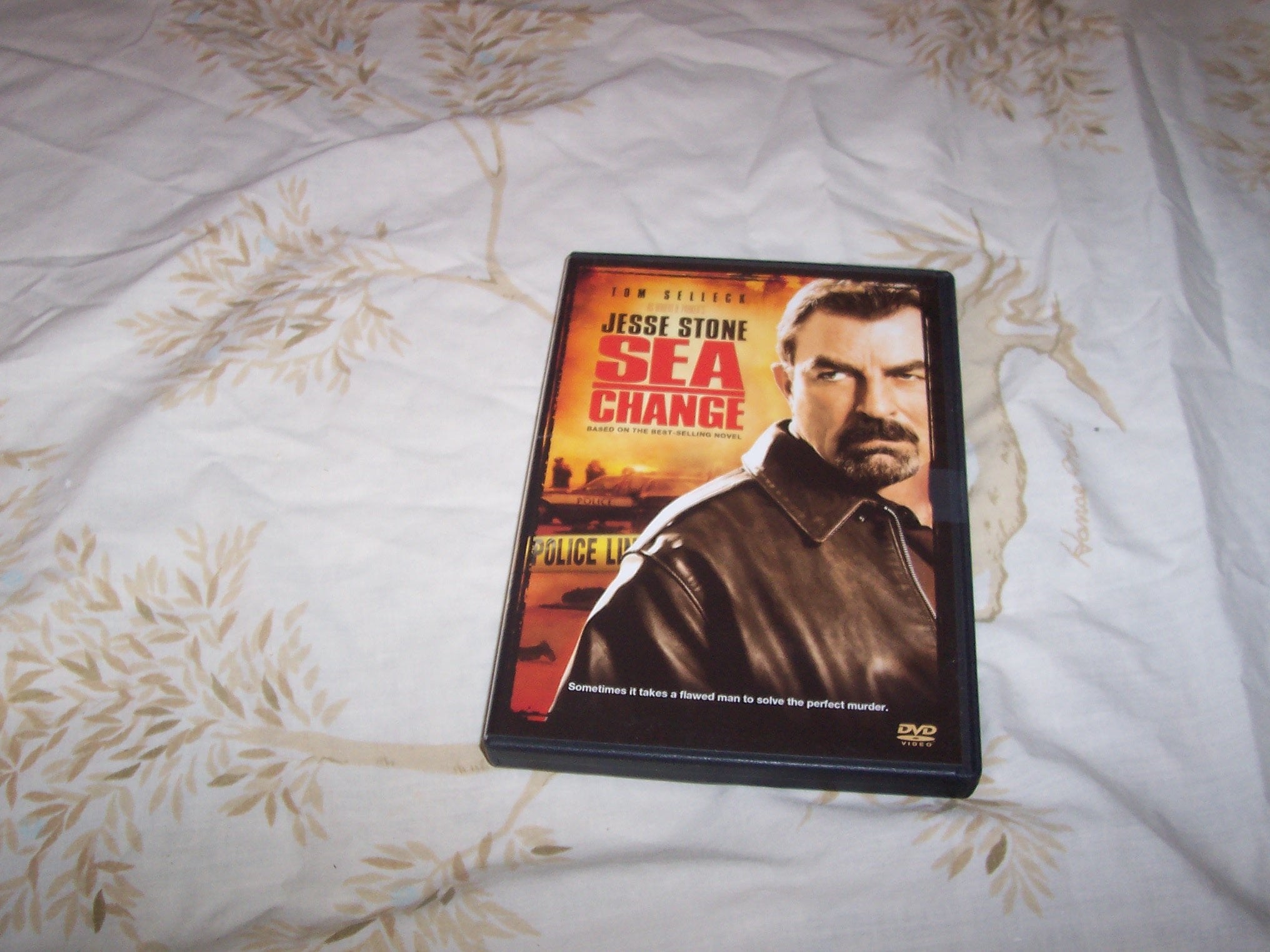 Jesse Stone: Sea Change (DVD)