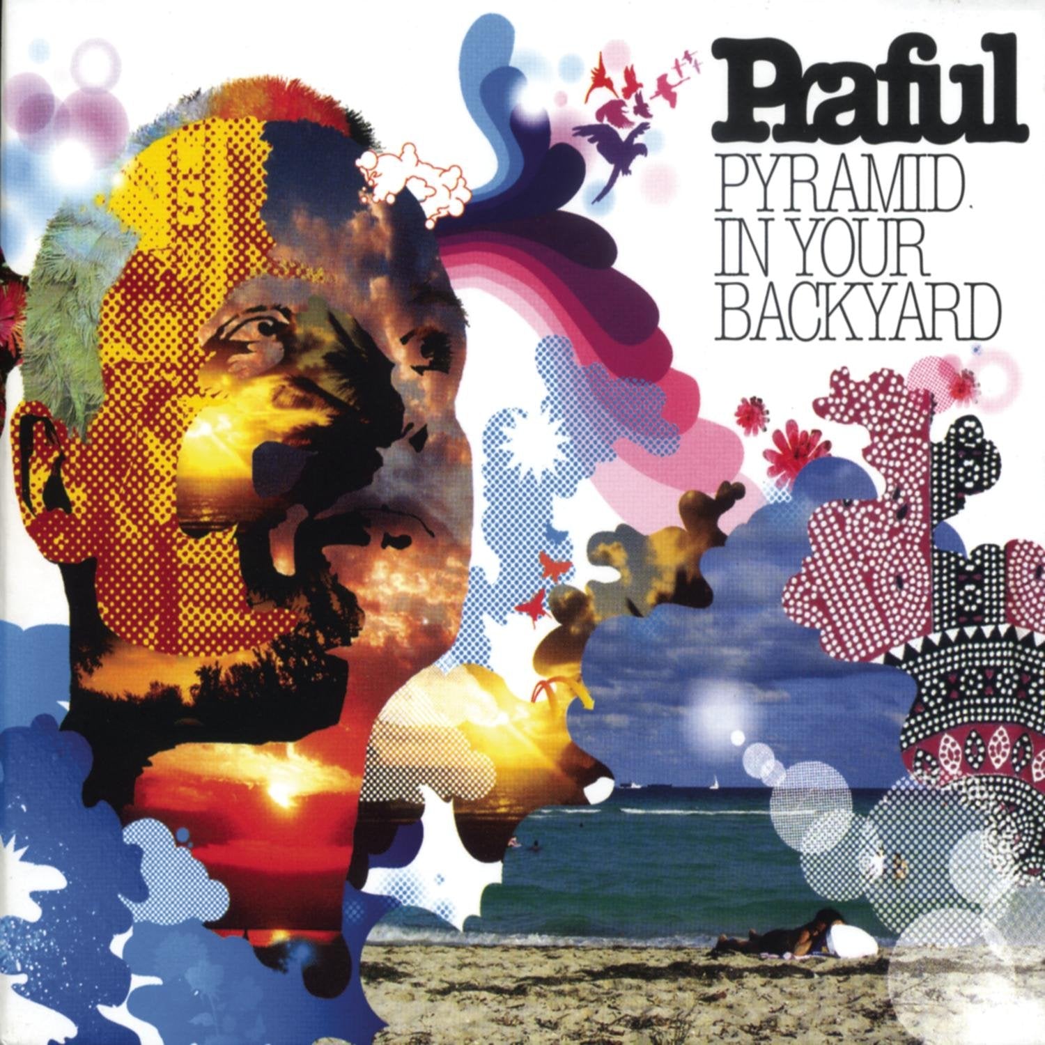 Praful - Pyramid In Your Backyard (CD)