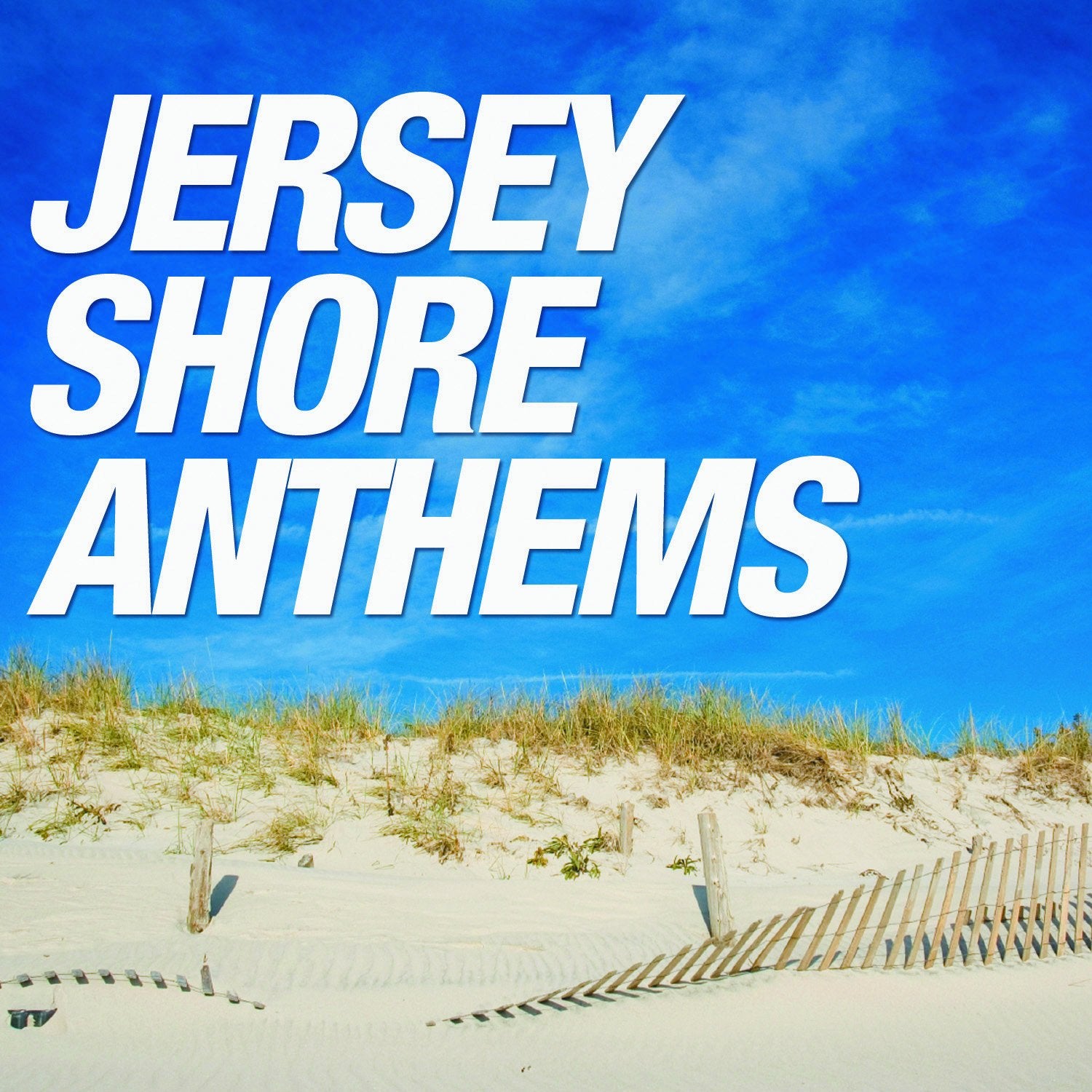 Jersey Shore Anthems (CD)