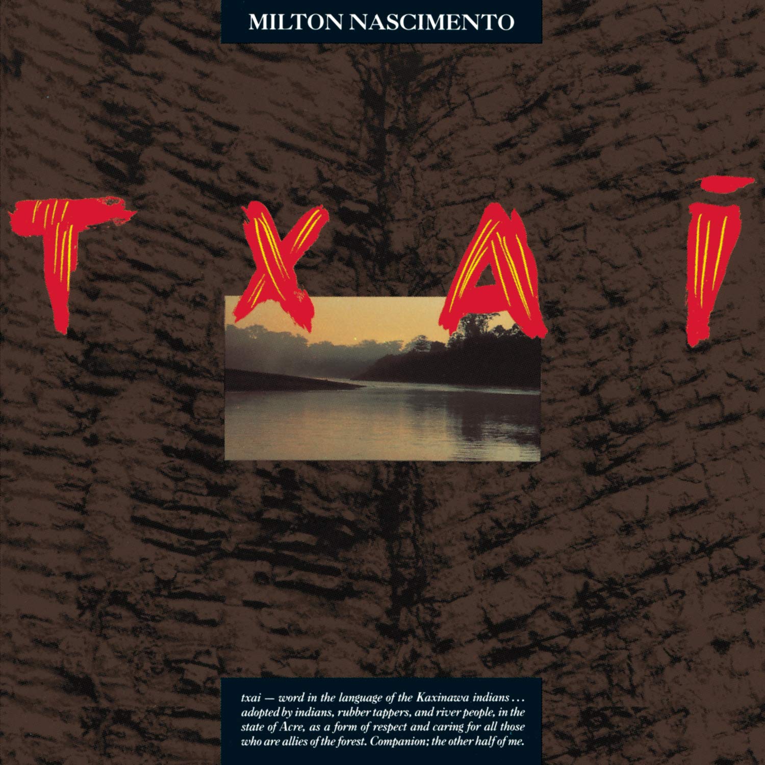 Milton Nascimento - Txai (CD)