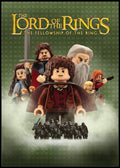 The Lord of the Rings: The Fellowship of the Ring (Two-Disc Widescreen Theatrical Edition) (DVD)