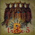 B-Tribe - B-Tribe 5 (CD)
