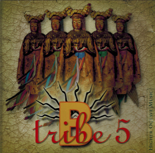 B-Tribe - B-Tribe 5 (CD)