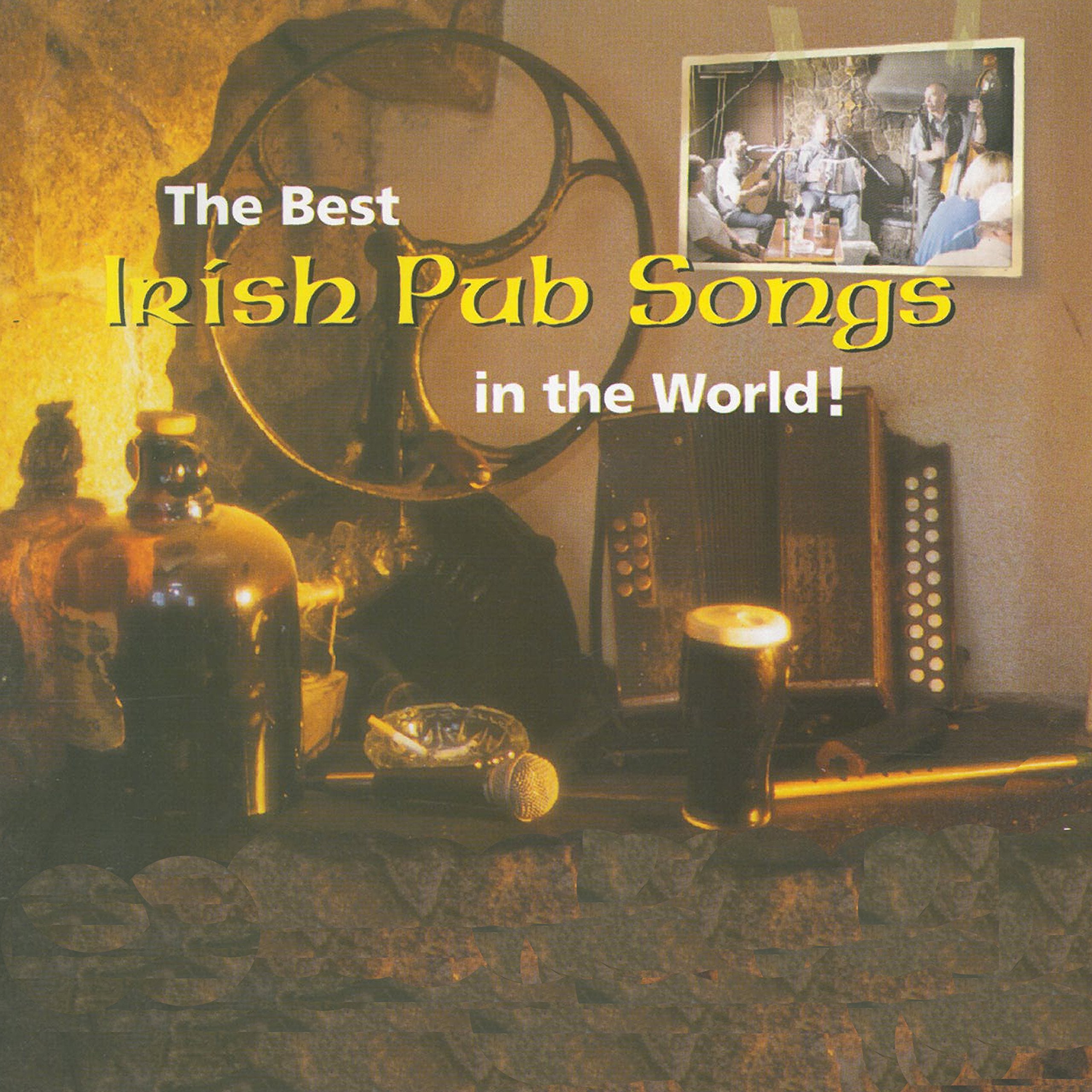 Sibin - THE BEST PUB SONGS IN THE WORLD (CD)