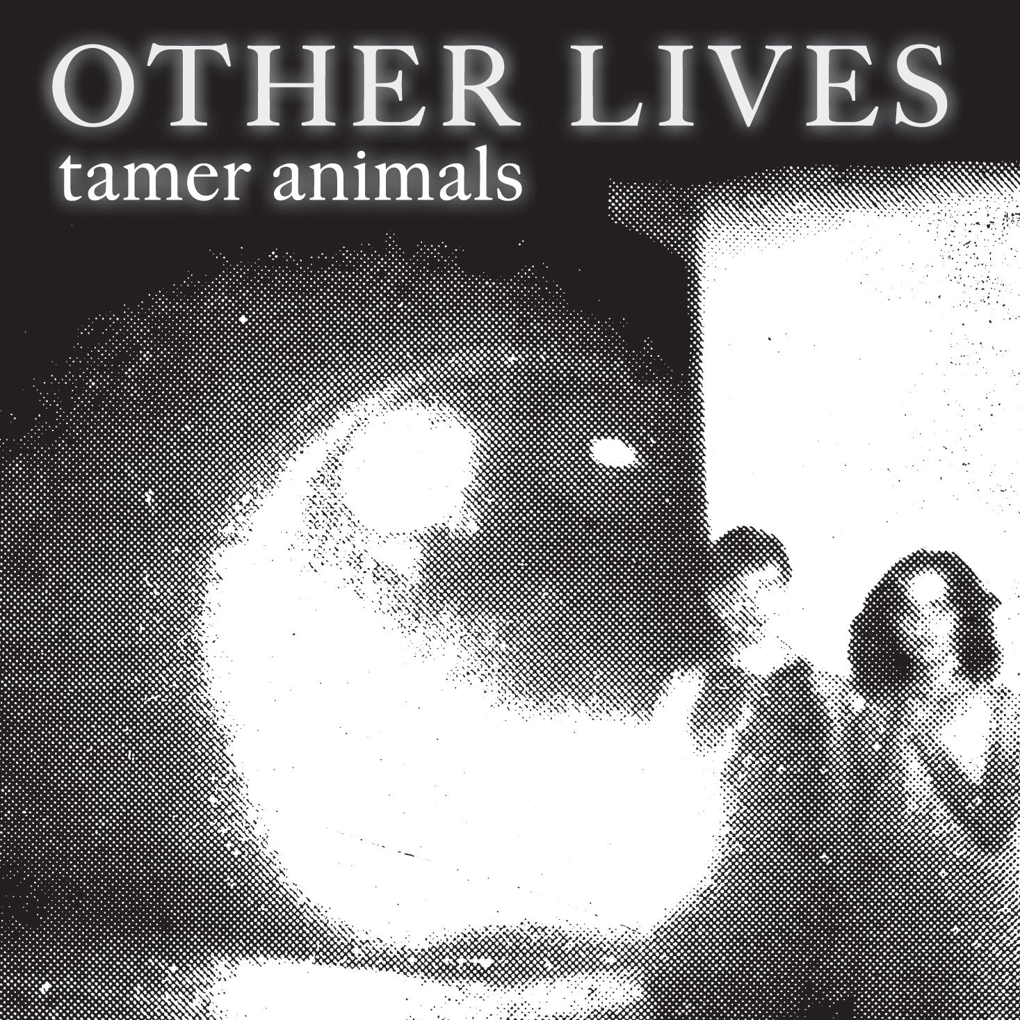 Other Lives - Tamer Animals (CD)