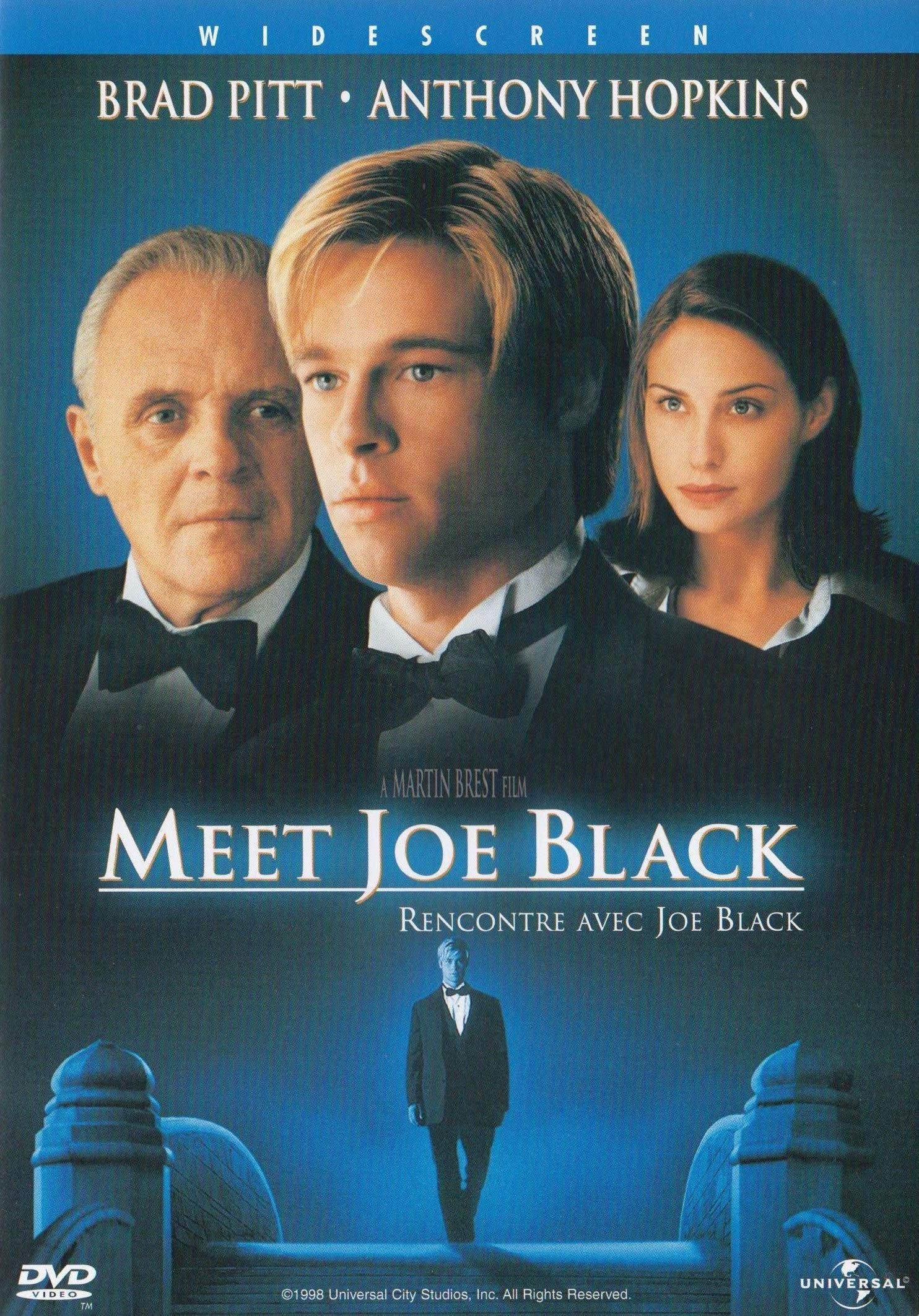 Meet Joe Black (DVD)