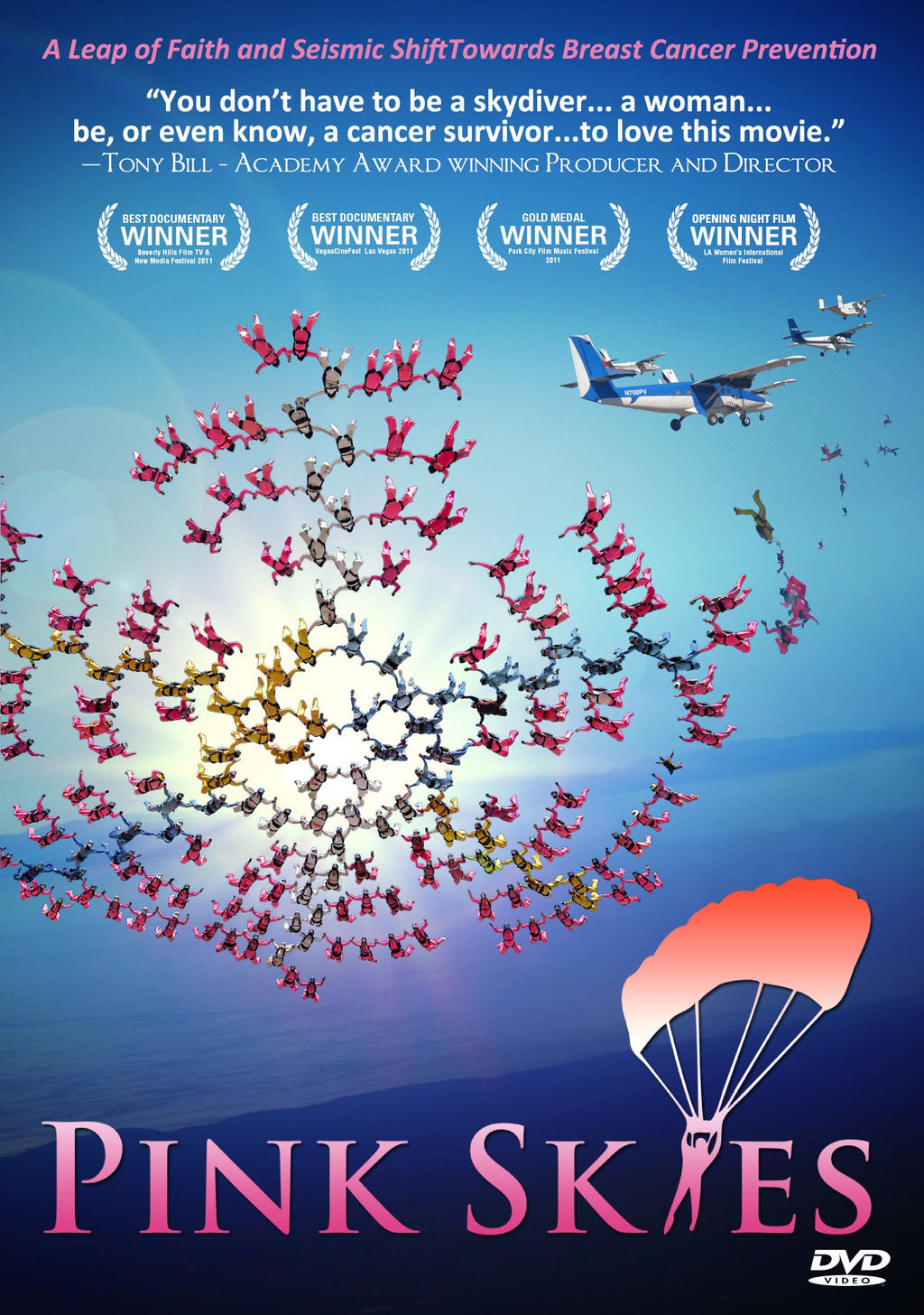 Pink Skies (DVD)