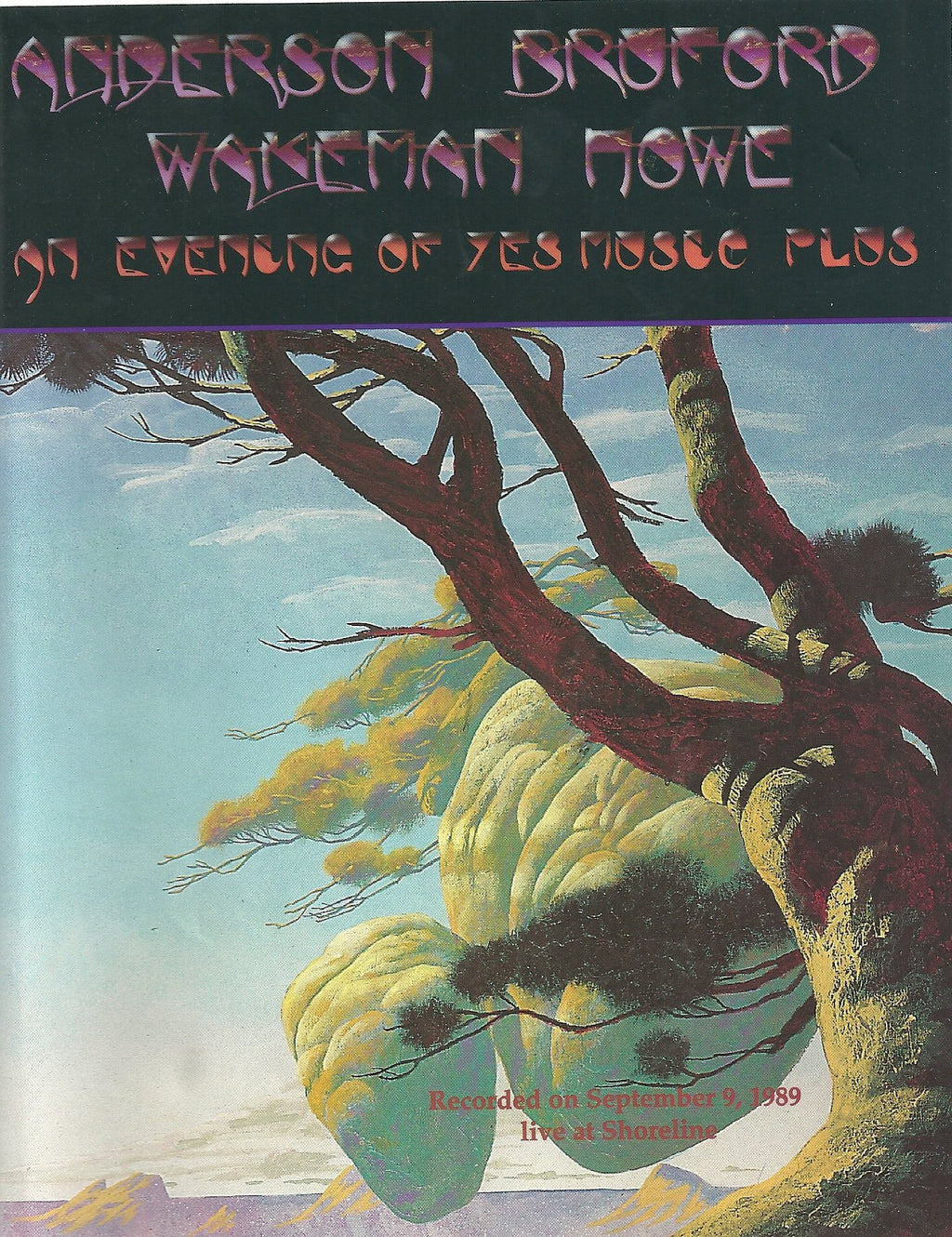 Unknown Artist - Anderson, Bruford, Wakeman, Howe: An Evening Of Yes Music [VHS/PAL]