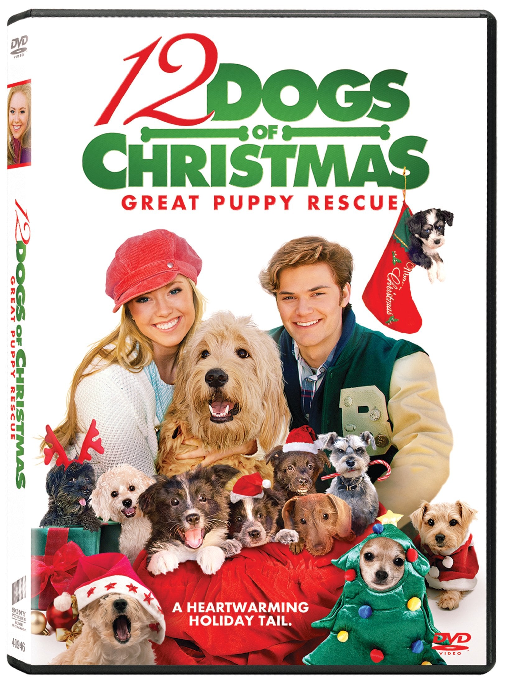 12 Dogs of Christmas: Great Puppy Rescue (DVD)