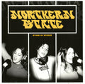 Northern State - Northern State - Dying In Stereo (CD)