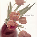 To Rococo Rot - Amateur View (CD)