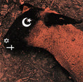Animositisomina (DVD-Audio)